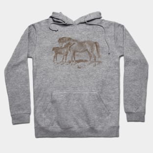 A Foal with Mare - Horses Vintage Illustration Hoodie